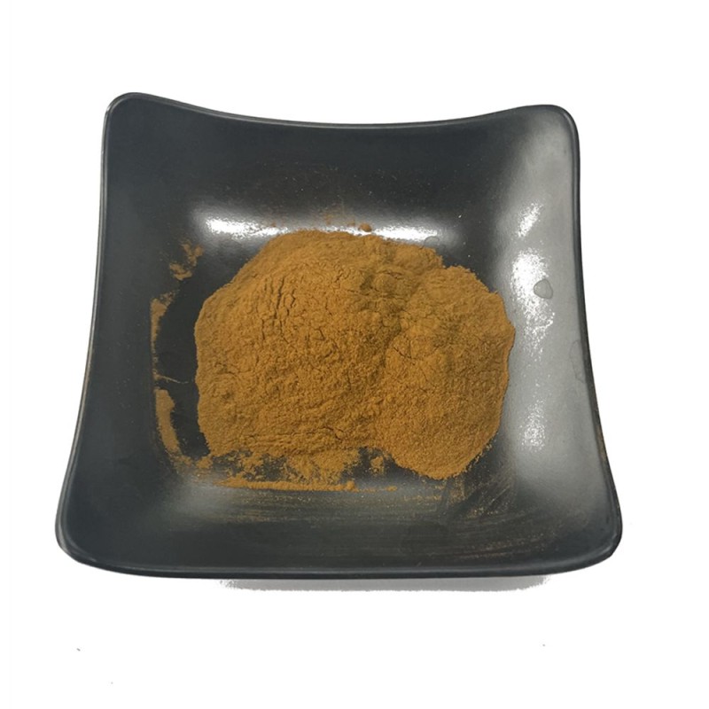 Water Soluble Reishi Extract 10-50% Polysaccharides