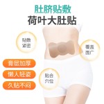 Wormwood Weight Loss Patch Supplier - 5/box Foot Joint Discomfort