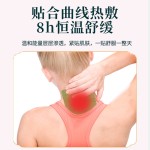 Knee Pain Patch Supplier - Herbal Plaster Transdermal Relief