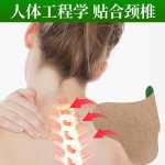 Wormwood Cervical Collar Factory - 12pcs Neck Support