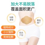 Weight Loss Patch Supplier - Wormwood Detox Belly Button