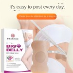Slimming Patches Manufacturer - Plant-based Big-belly Wholesale