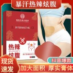 Weight Loss Patch Supplier - Wormwood Detox Belly Button