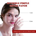 Acne Recovery Patch Manufacturer - Snow Grass Effective Bidding Farewell Acne