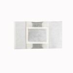 Ginger Detox Foot Patch Supplier - Chinese Herb Pads Gmp Herbal Detox