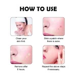 Salicylic Acid Patch Factory - Smooth Skin Blemish Dissolving Radiance Restoring