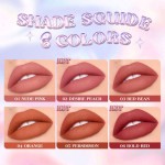 Lip Gloss Supplier - Long-Lasting Waterproof Liquid Lip Gloss