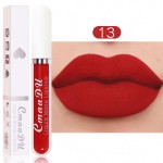 Lipstick Factory - Private Label 18 Color Matte Waterproof Lipstick