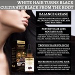 Hair Serum Supplier - Grey Treatment Repair Herbal Hair Serum