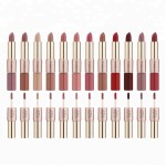 Lipstick Supplier - High Quality Matte Lipstick
