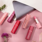 Lip Gloss Factory - 12 Colors Matte Lip Gloss