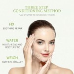 Lip Balm Factory - Organic Mint Lip Balm