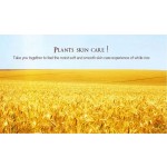 Slimming Cream Manufacturer - New Private Label Slimming Cream