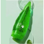 Lip Balm Factory - Organic Mint Lip Balm