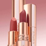 Lipstick Manufacturer - Brand Long Lasting Matte Lipstick