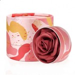 Blusher Factory - New Package OEM Petal Blush Custom Logo