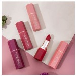 Lip Gloss Factory - 12 Colors Matte Lip Gloss