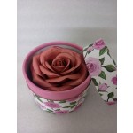 Blusher Factory - New Package OEM Petal Blush Custom Logo