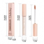 Concealer Factory - New Long-lasting Concealer Cream
