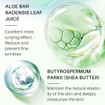 Face Cream Supplier - Lanthome Whitening Oil Acne Scar Removal