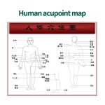 QiAi Therapy Patch Factory - Pain Relief Winter Diseases