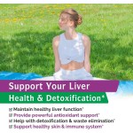 Milk Thistle Capsules Manufacturer - Liver Detox Antioxidant Capsules