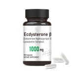 Ecdysterone Capsules Factory - 1000mg Natural Anabolic Capsules