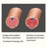 Penis Enlargement Liquid Manufacturer - Cock Erection Thickening Liquid