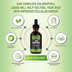 Chlorophyll Drops Supplier - OEM 6000mg Mint Liquid Supplement