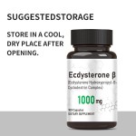Ecdysterone Capsules Factory - 1000mg Natural Anabolic Capsules