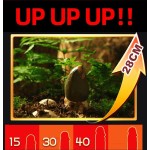 Penis Enlargement Cream Factory - Herbal Long Time Sex Cream