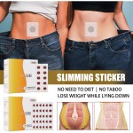 Body Slim Patch Factory - 30pcs Belly Fat Burning Patches