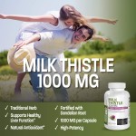 Milk Thistle Capsules Manufacturer - Liver Detox Antioxidant Capsules