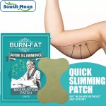 Slim Patch Manufacturer - OEM Wonder Arm Slimming Moxibustion