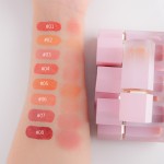 Blush Manufacturer - Custom Pigment 8 Colors Cream Blush Pink Tube Matte Finish