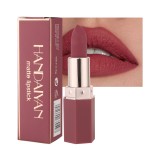 Lipstick Supplier - High Quality Handaiyan Long Lasting Smooth Vegan Waterproof Matte