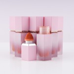 Blush Manufacturer - Custom Pigment 8 Colors Cream Blush Pink Tube Matte Finish