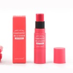 Blush Stick Factory - Wholesale Double Head Blush Tint 3 Colors Cruelty Free Stick