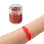 Body Paint Stick Factory - Wholesale Professional Halloween Cosmetic Nude Face Body Paint