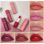 Lipstick Supplier - High Quality Handaiyan Long Lasting Smooth Vegan Waterproof Matte