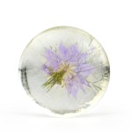 Handmade Soap Manufacturer - Private Label 100% Natural Amino Acid Transparent Soap