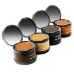 Hair Concealer Factory - Water Proof Magical Fluffy HairLine Powder Shadow Powder
