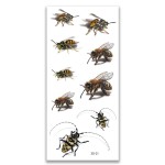 Body Sticker Factory - Temporary Body Waterless Tattoo Sticker Sexy Body Transfer