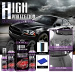 Car Coating Spray Supplier - High Protection 3 in 1 Quick Coating Spray Car Shield