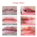 Lip Cream Supplier - Wholesale Moisturizing Nourishing Bleaching Permanent Pink Lip Cream