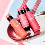 Blush Stick Factory - Wholesale Double Head Blush Tint 3 Colors Cruelty Free Stick