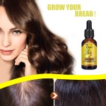 Hair Growth Oil Supplier - OEM ODM Hair Loss Treatment Oil Natural Regrow 7 Days