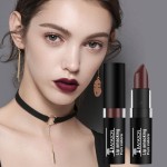 Lipstick Manufacturer - 24 Hours Long Lasting Matte Lip Gloss Cosmetics Kissproof
