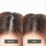 Hair Fiber Supplier - Wholesale Long Lasting Hair Line Powder Conclear Building Fibers