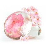 Handmade Soap Manufacturer - Private Label 100% Natural Amino Acid Transparent Soap